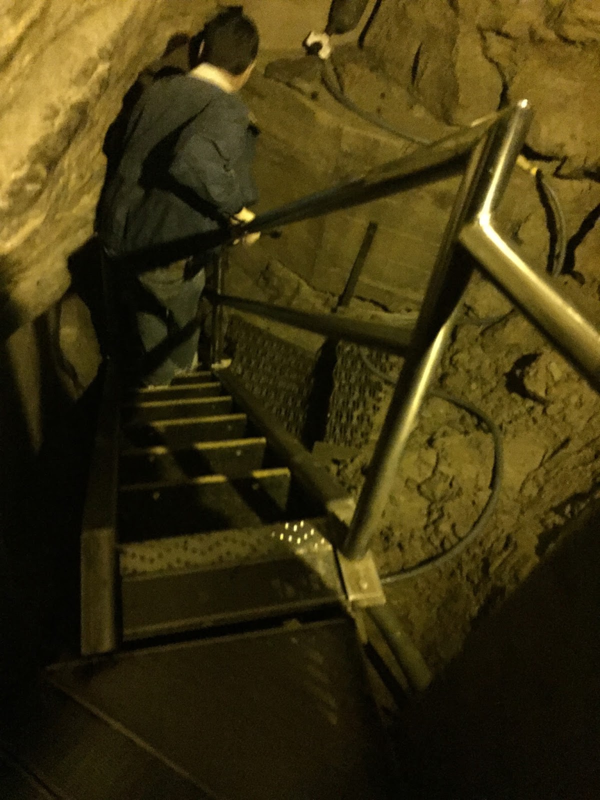 Mammoth Cave Tours Prebook Mammoth Cave Tours Prebook