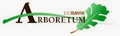  UC Davis Arboretum Kurapia Sales