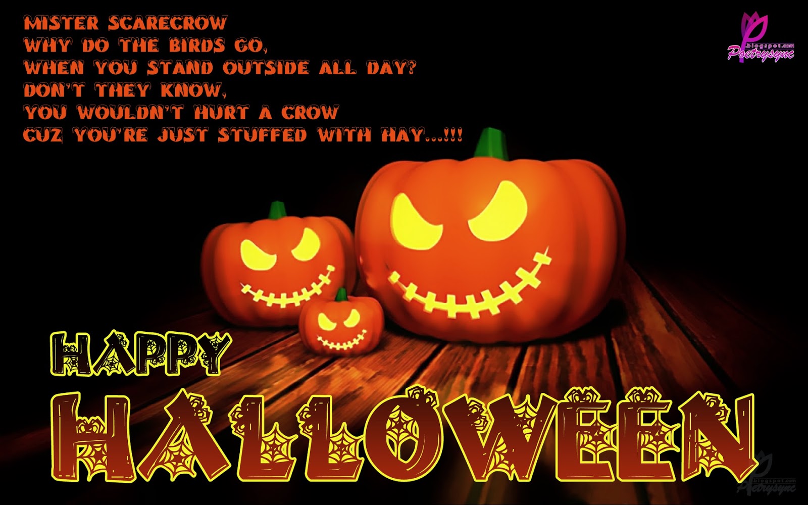 halloween greetings for kids the halloween owl