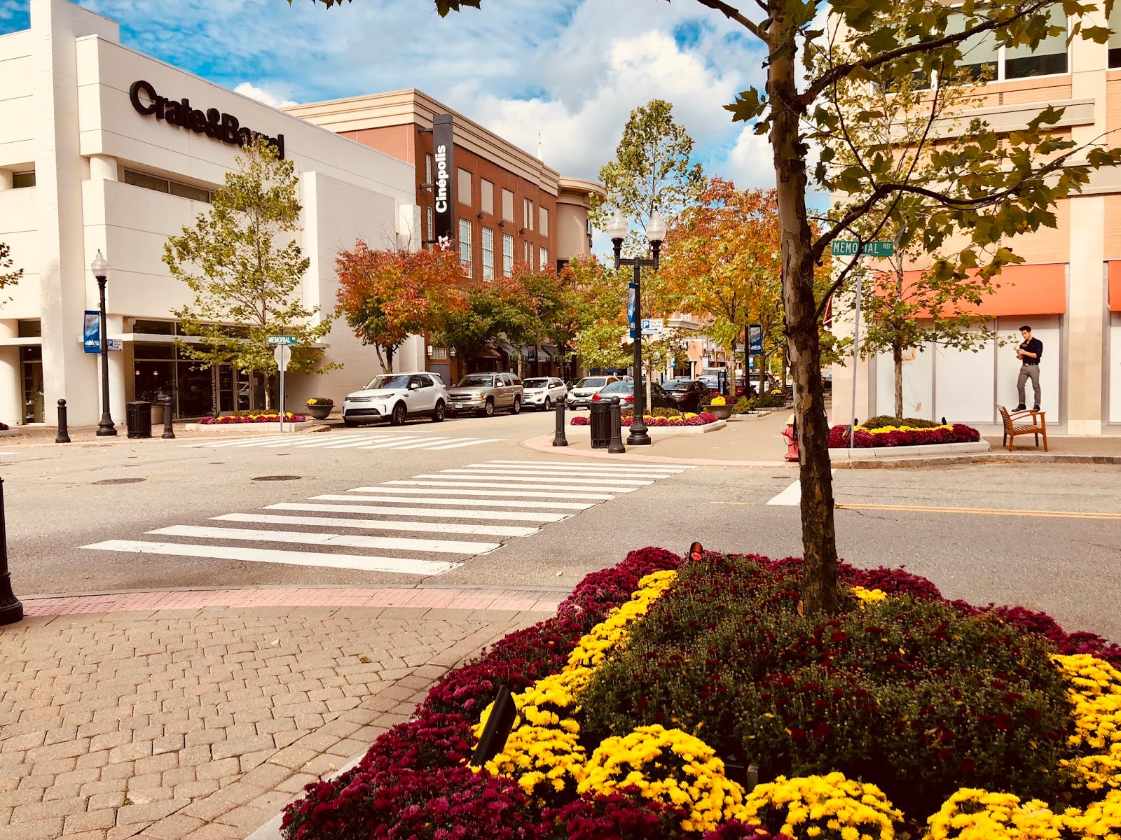 Naples And Hartford In Season Blue Back Square