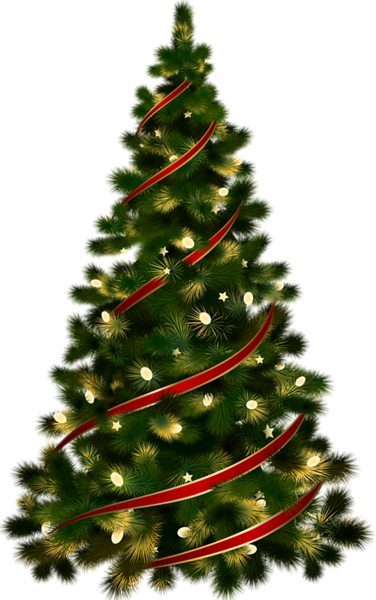 Arboles de navidad png con fondo transparente