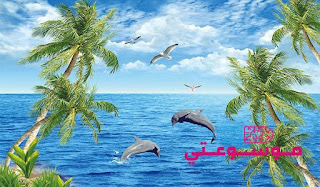 تفسيـر رؤيـة المحيط أو البحـر في الحلم بالتفصيل تفسيـر رؤيـة المحيط أو البحـر في الحلم بالتفصيل