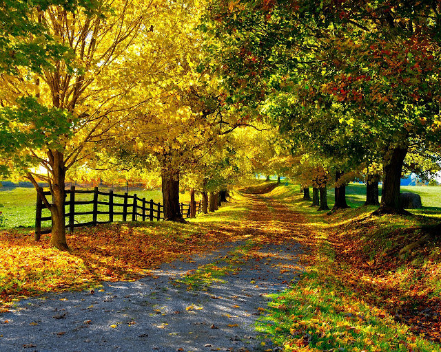 Autumn-pictures-+Wallpaper-Photos-gallery-2011-024