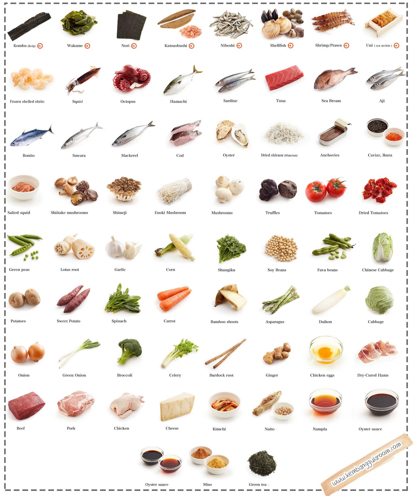 UMAMI, Rasa KeLima Yang Kontroversial