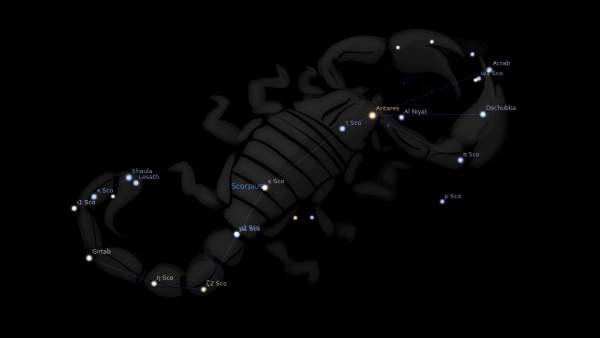 Scorpio constellation in the sky