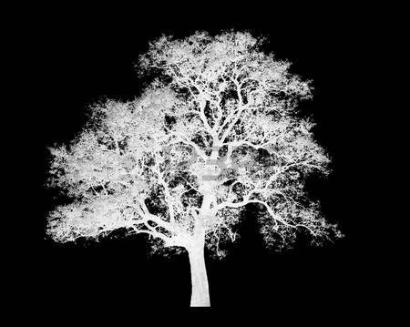 Quiero vivir del cuento!!!