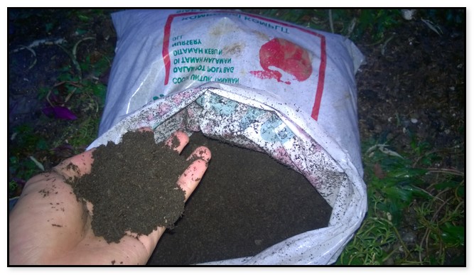 Jenis Jenis Pupuk Kompos Dan Kandungan Di Dalamnya Seputar Pertanian