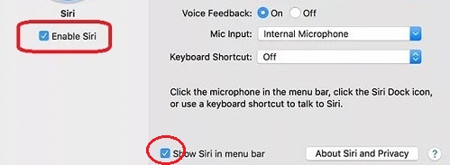 Hide Siri icon without Turning it off