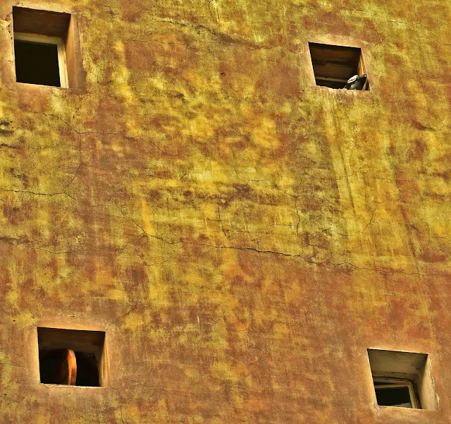 Una paloma sobre ojos de buey en pared.