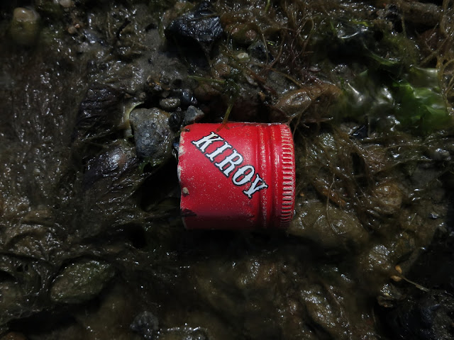 Red bottle top on soggy brown seaweed.