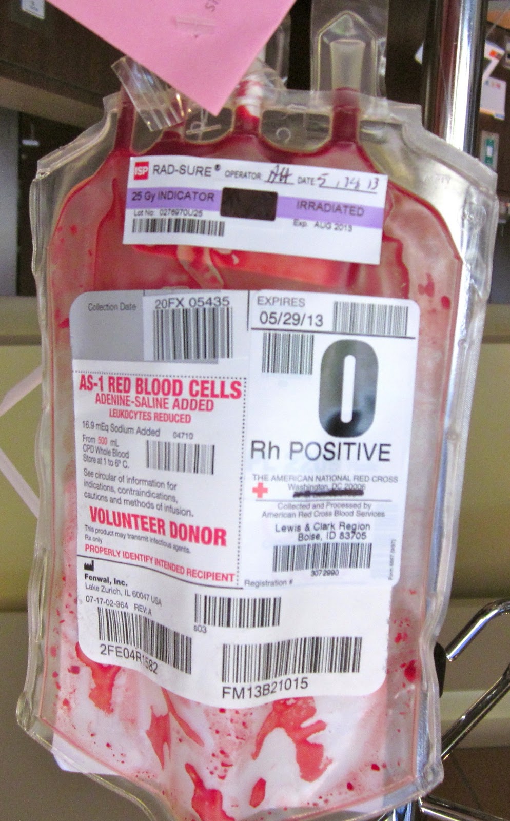 jm's Adventure with Multiple Myeloma Relapsed HighRisk Myeloma Two