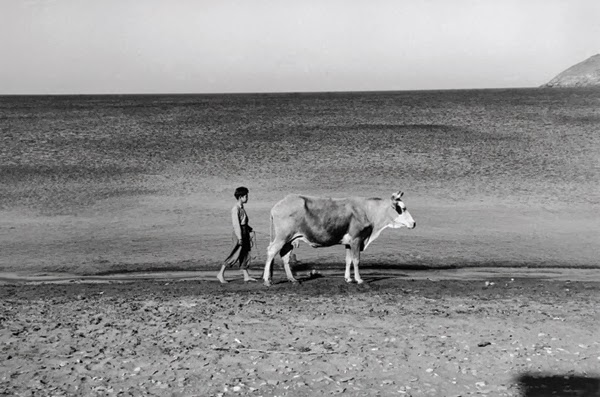 %CE%91%CE%BD%CE%B4%CF%81%CE%AD%CE%B1%CF%82+%CE%95%CE%BC%CF%80%CE%B5%CE%B9%CF%81%CE%AF%CE%BA%CE%BF%CF%82