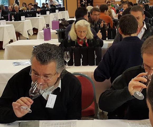 International Wine Contest Judge