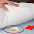 Benefits of Sleeping With a Garlic Under The Pillow: