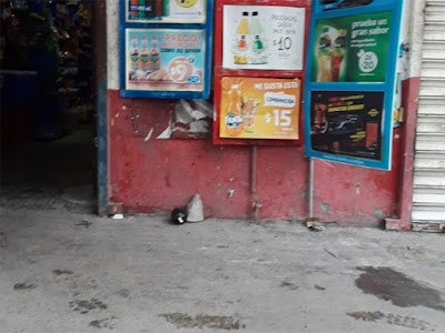 Hallan supuesto artefacto explosivo afuera de una tienda en Monterrey