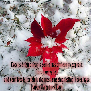 Love is a thing that is sometimes difficult to express. It is always felt and your love is certainly the most amazing feeling I ever have, Happy Valentine’s Day! valentines day images for love