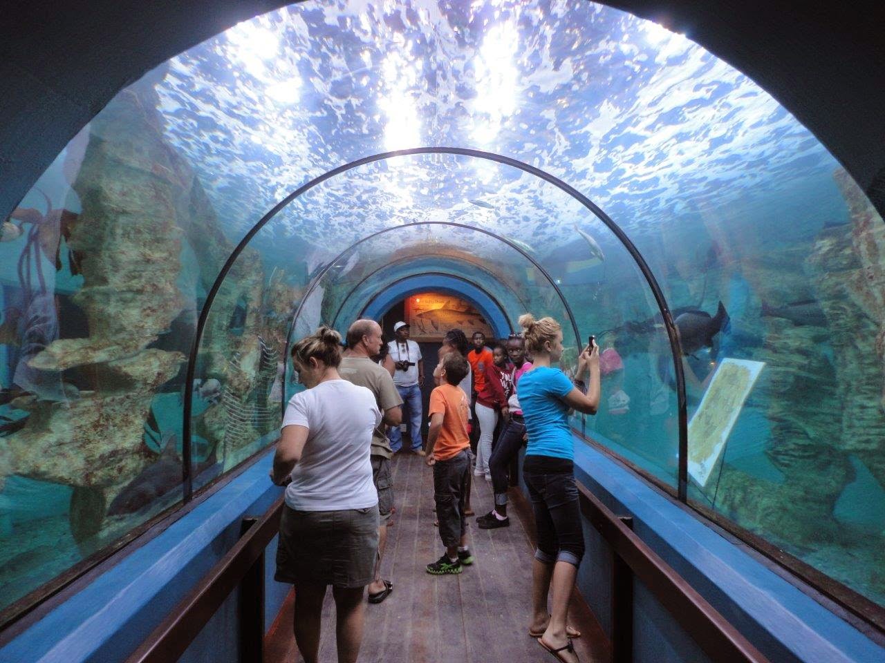 National Marine Aquarium Swakopmund/Namibia