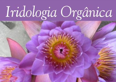 Iridologia Orgânica