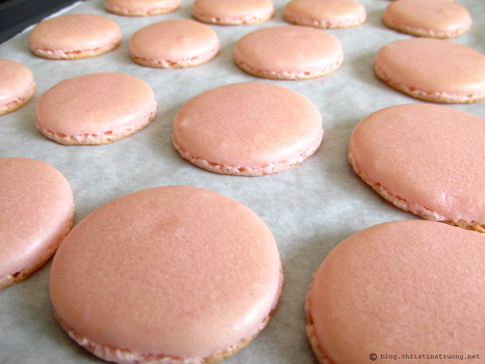 Easy French Almond Macaron Recipe