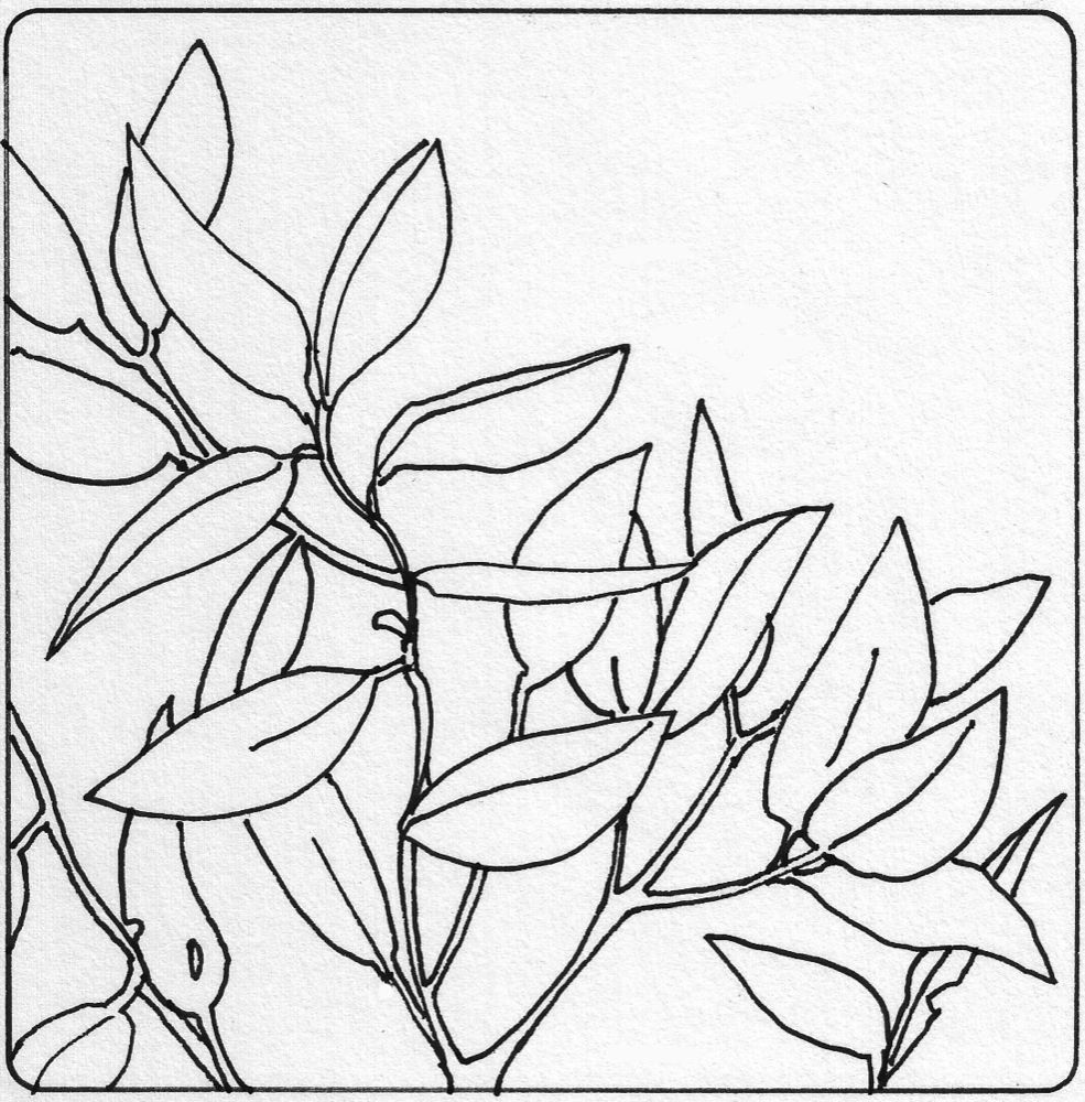 Les pochoirs et dessins déco de Benita Feuillage décoratif