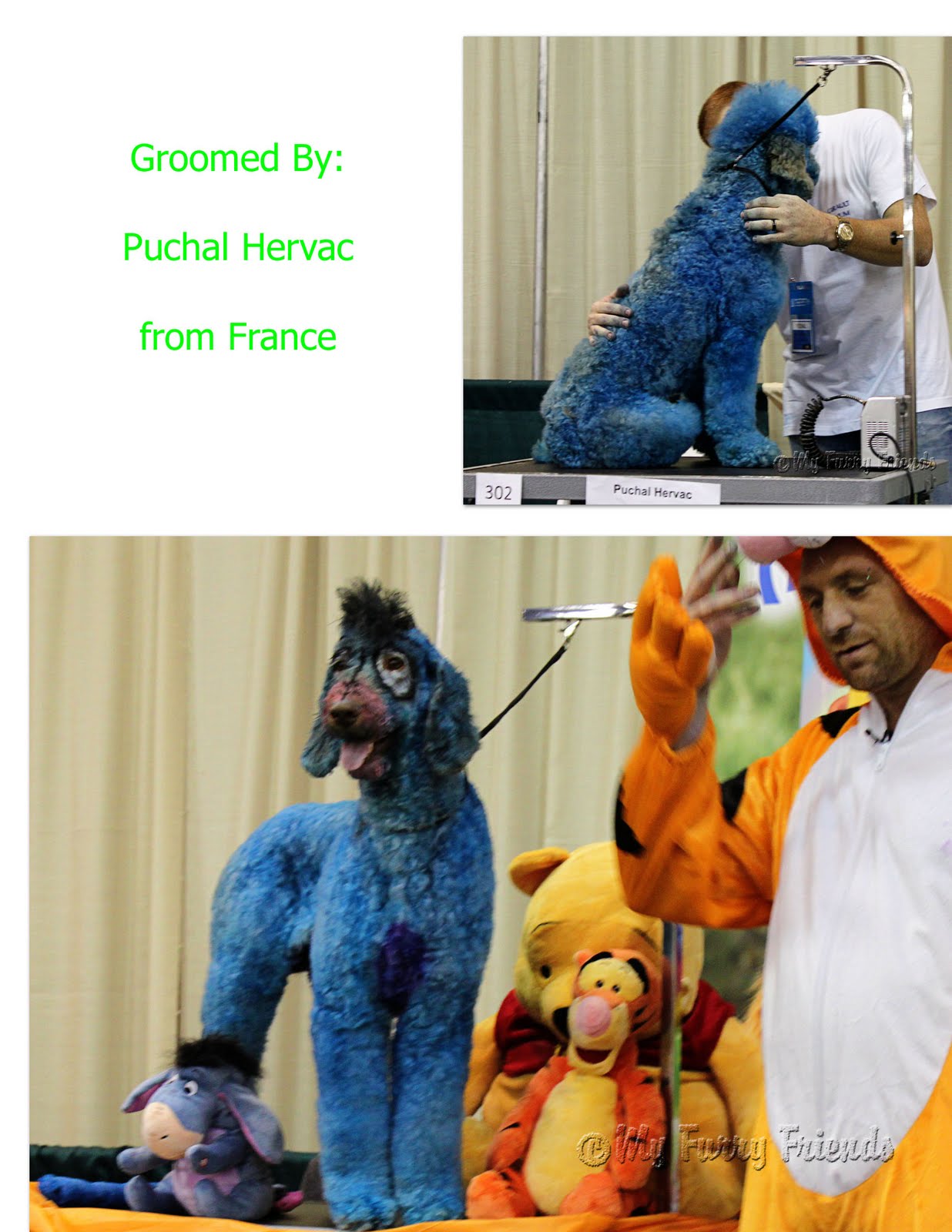 Pet Grooming The Good, The Bad, & The Furry Groom Expo 2011 Creative
