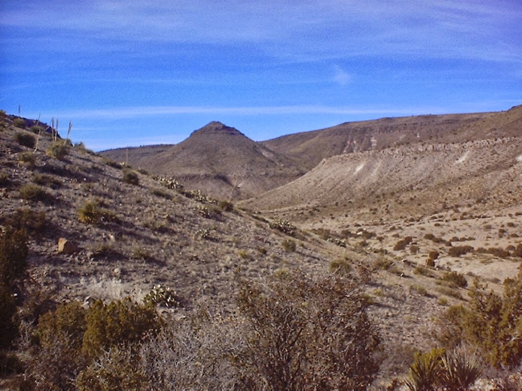 Southern New Mexico Explorer: Apache Flat, Pine Canyon - Organ ...