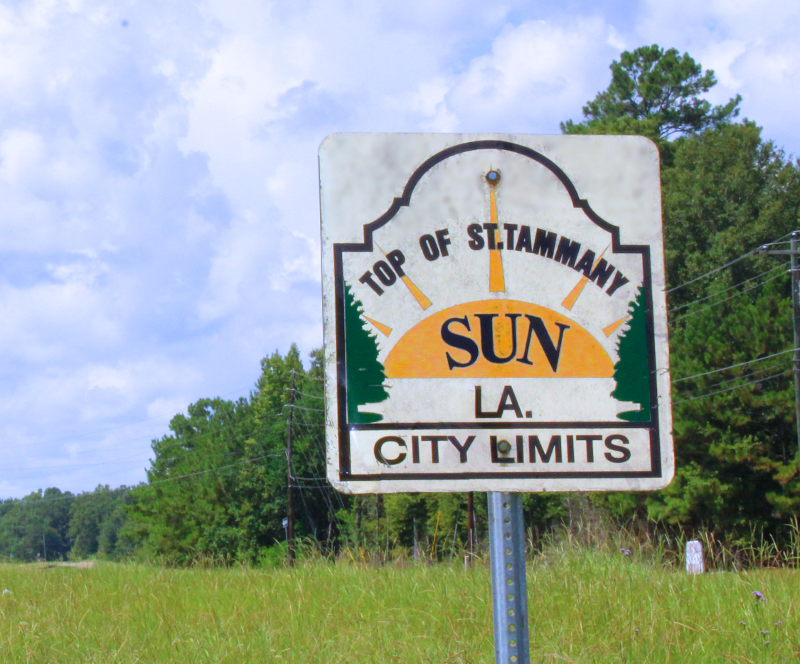 Tammany Family The History of Sun