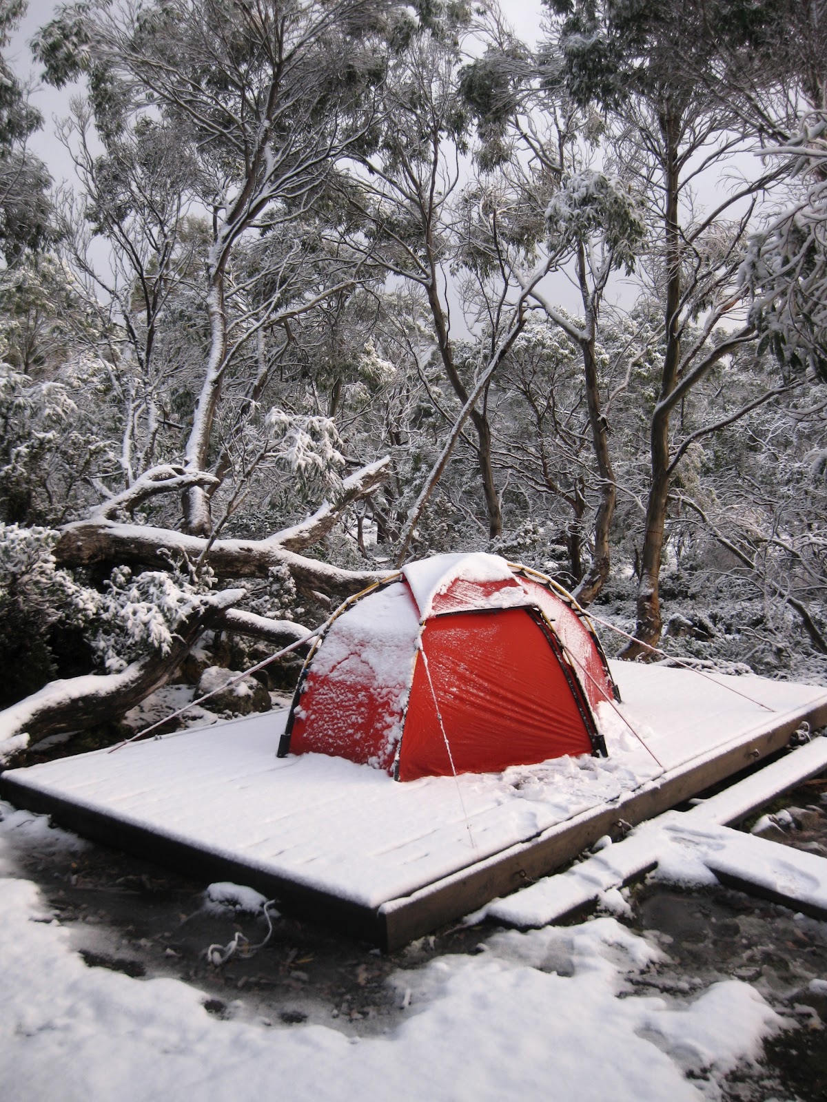 Tasmanian Hikes Blog The Overland Track Winter Camping