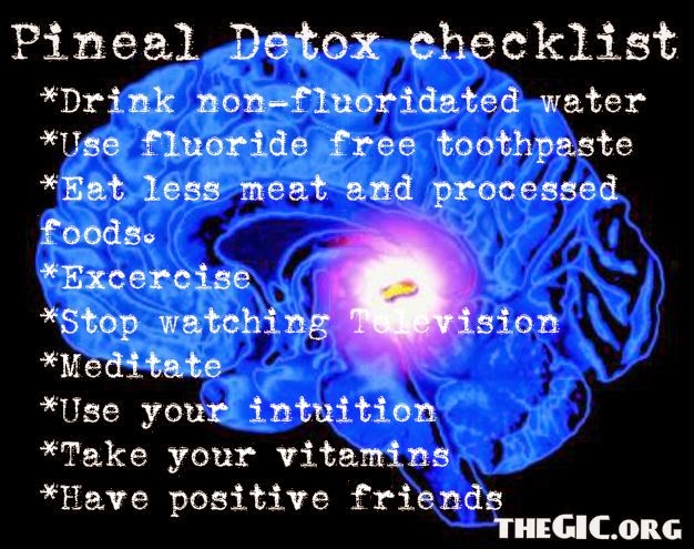 Secrets of the Pineal Third Eye Mechanics Psychedelic Secrets of the Pineal Third Eye Mechanics Psychedelic