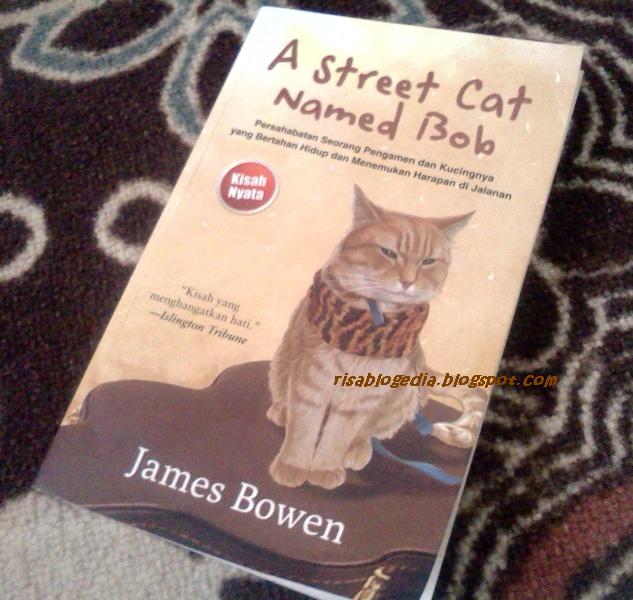 Street Cat named Bob словарь. Где же Боб книга. A Street Cat где лейкопластырь. Hello Street Cat белый рис. Hello street cat петиция остановите