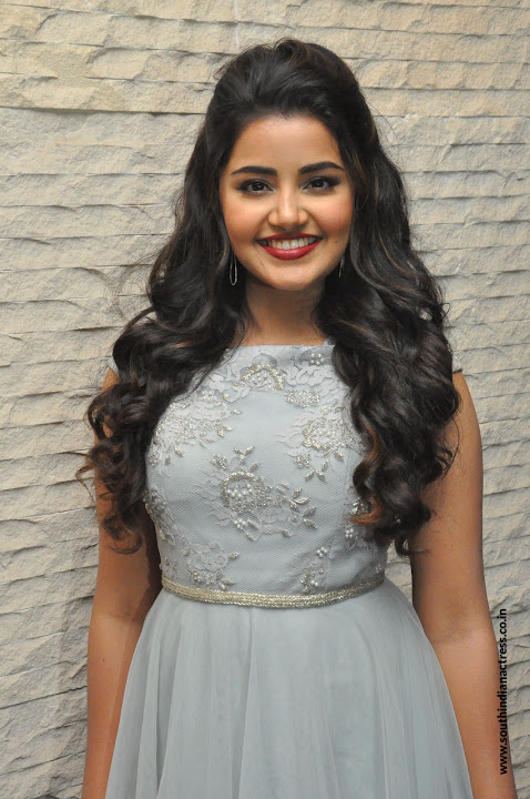 Anupama Parameswaran at Vunnadi Okate Zindagi Pre Release