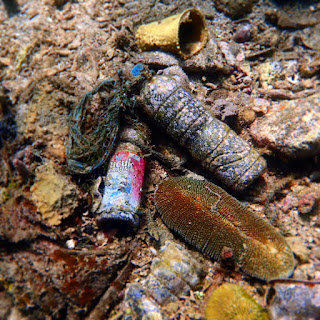 Plastic bottles and other plastic trash on the sea floor. 