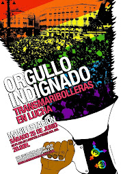 Manifestación Madrid Orgullo indignado: TransMariBolleras en lucha
