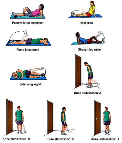 Physical Exercise: Physical Exercise For Knee Pain