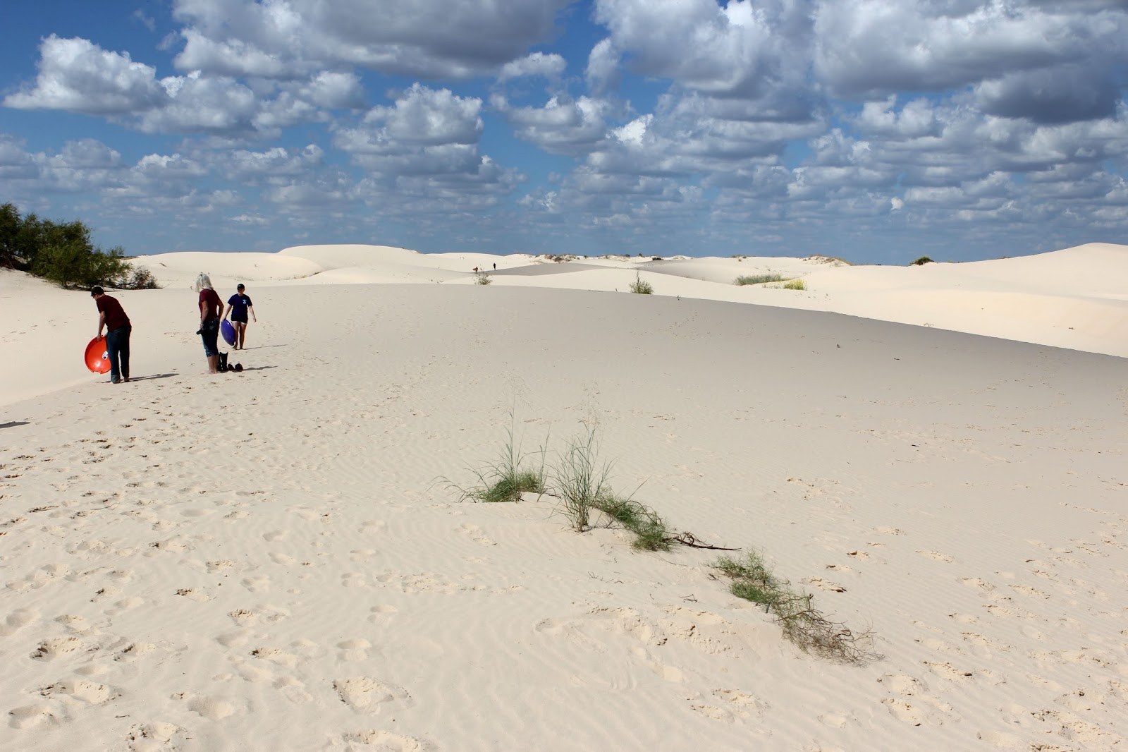 Life and Coconuts Monahans Sandhills State Park (Sand Dunes) Monahans