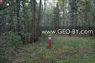 Лес у Краснослободского водохранилища. Квартальный столбик