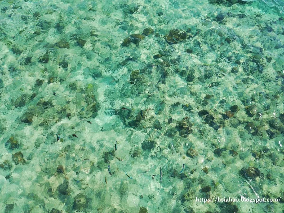 沖繩-海洋-海水-部瀨名海中公園-海中展望塔-玻璃船-ブセナ海中公園-自由行-旅遊-Okinawa-busena-park