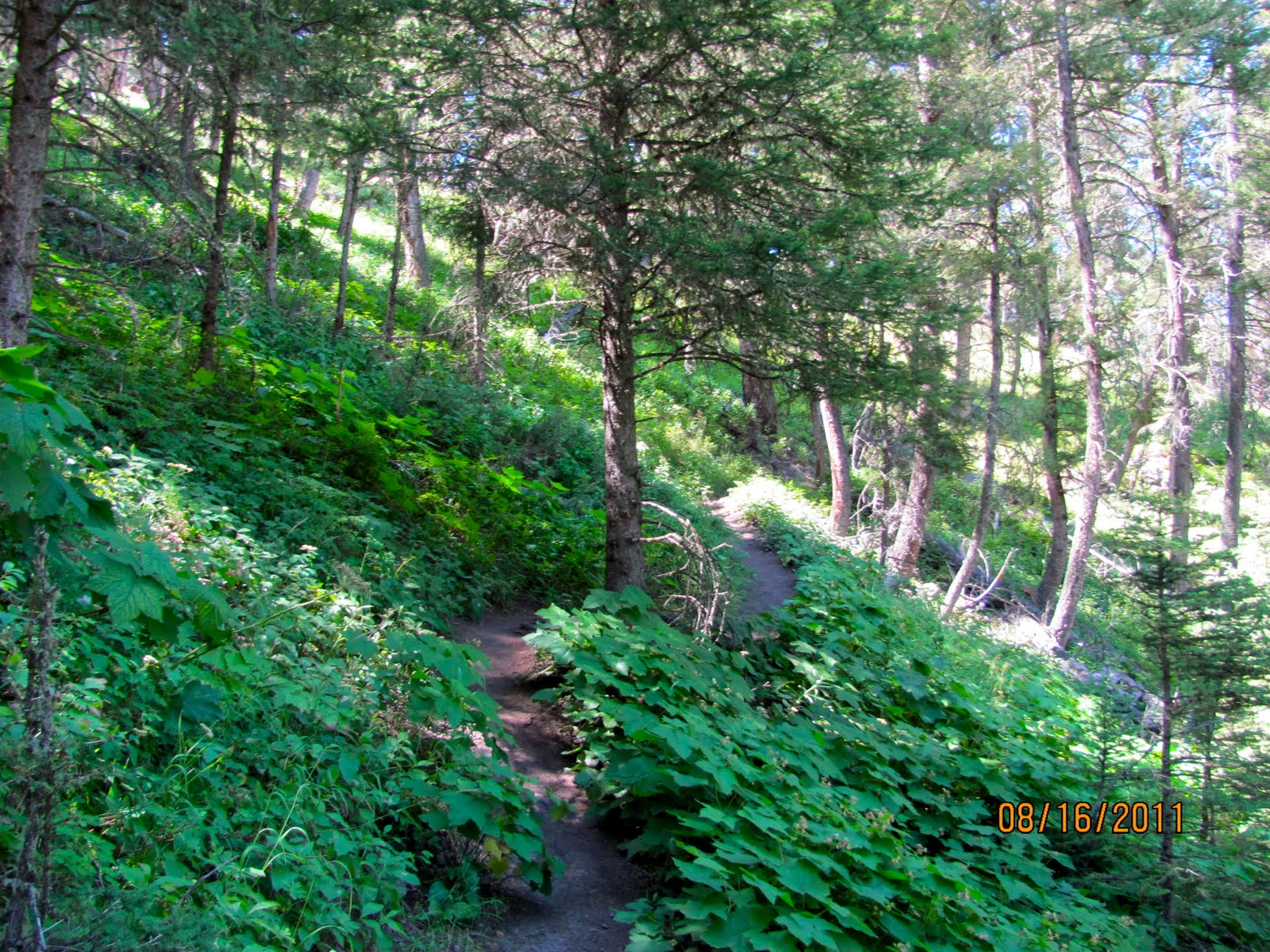 America by RV Hike In Yelowstone, The Lost Lake Trail