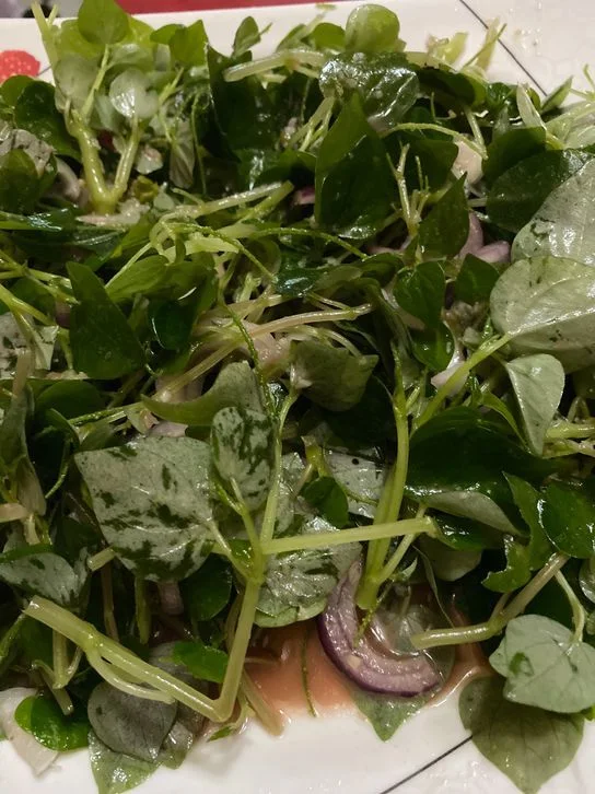 Fresh pansit-pansitan salad