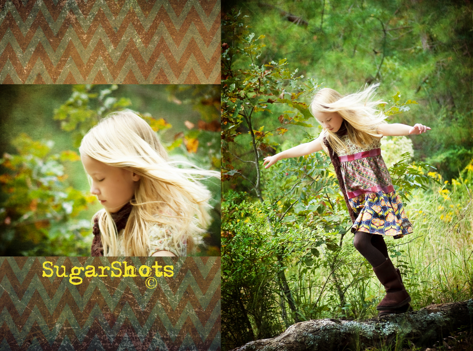 Sugar Shots Photography