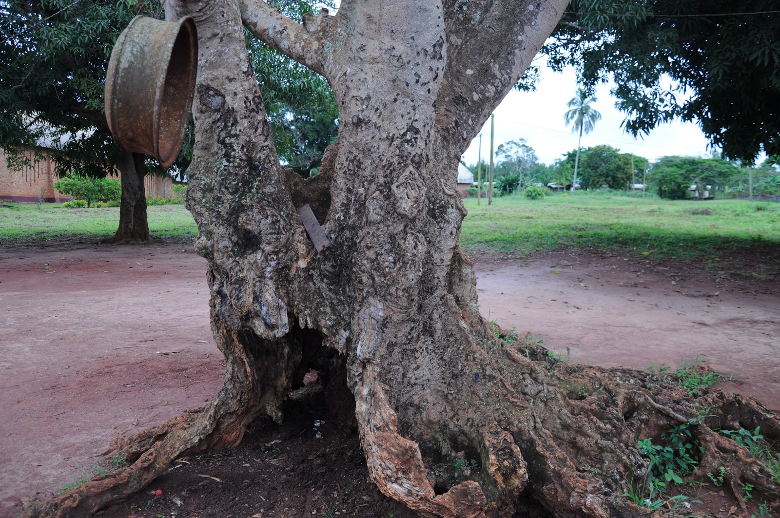 KURIER AFRYKI NASI SZKOLNI KOLEDZY Z ABONG MBANG
