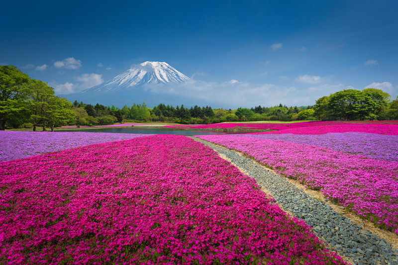 Mount Fuji Mount Fuji