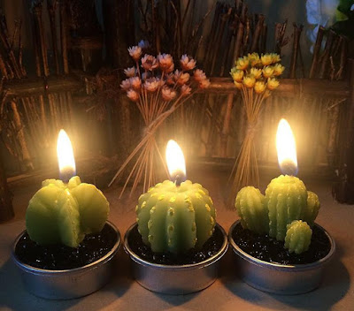 Best Cactus Themed Products Cactus Candles