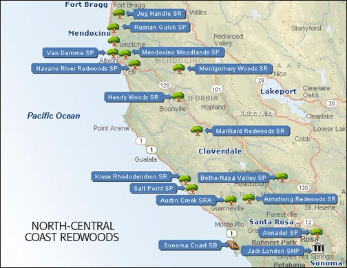 Old-Growth Redwood Forests in California: Old-Growth Redwood Forests in Old-Growth Redwood Forests in California: Old-Growth Redwood Forests in