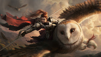 Owl Wallpapers 4K HD