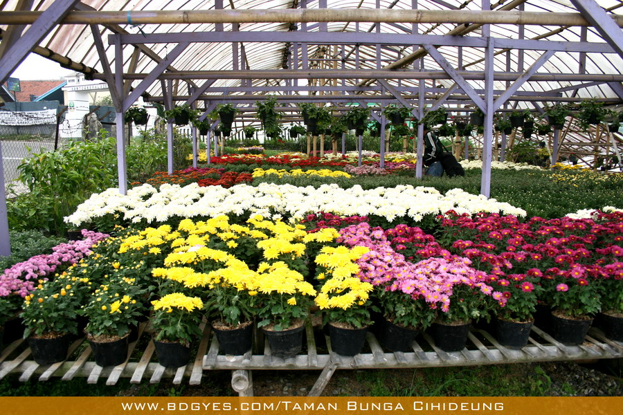 Tempat Wisata Terbaik dan Terpopuler di Bandung