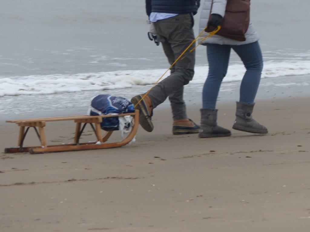 Zeit Statt Materieller Geschenke Einmal Drachensteigen Mit