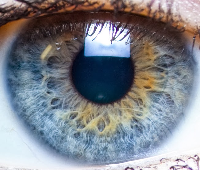 Eyes Artitaminha eyes-artitaminha