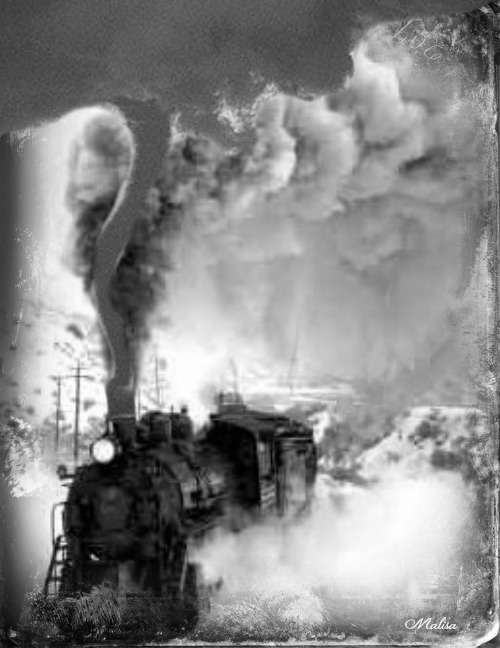 Moonlight Hollow I Hear The Train A Comin', It's Rolling Round the Bend