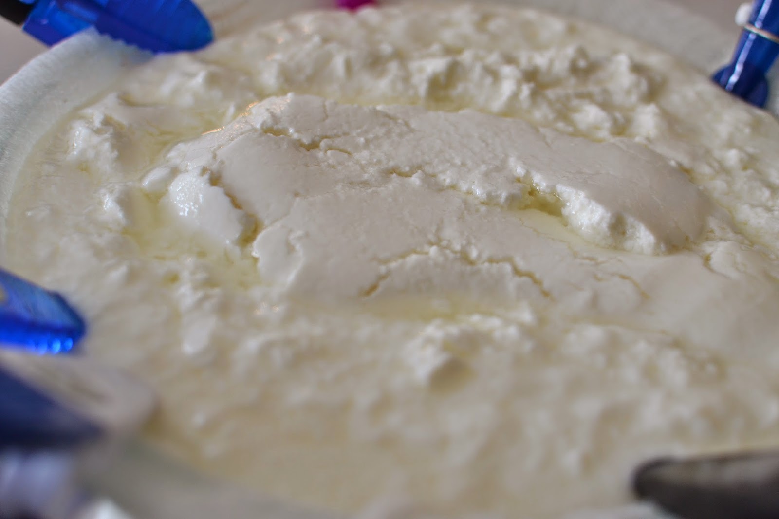 From Horses to Photography: Greek-Style Yogurt